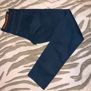Zara Mens Deluxe Blue Denim Jean 29 x 30 NWOT